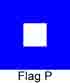 Flag P